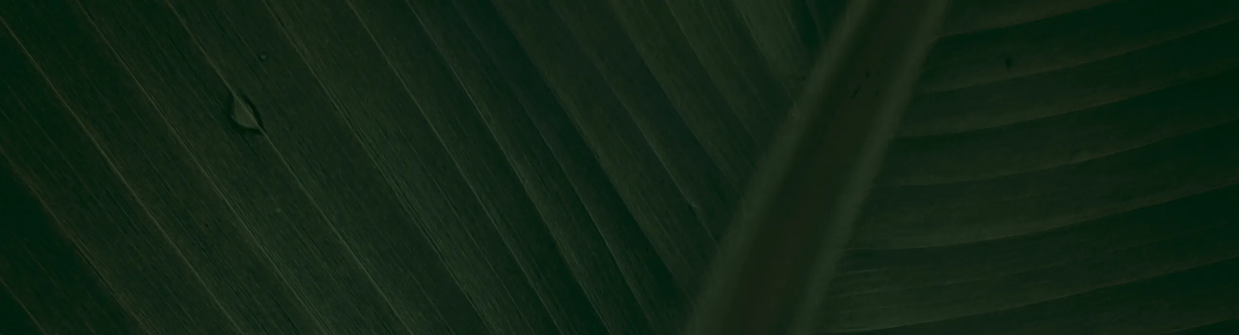 Guía para reducir tu huella energética